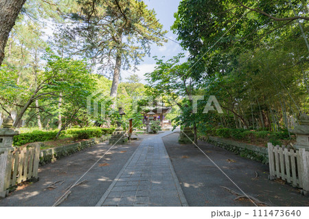 三保の松原 御穂神社 三保の松原 御穂神社 111473640