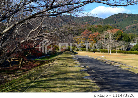 福岡県太宰府市の特別史跡「大宰府政庁跡」の秋の景観 111473826