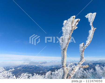群馬県赤城山にて木々についた霧氷とエビのしっぽと呼ばれる樹氷 111474050