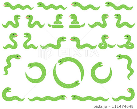 蛇のイラストセット 111474649