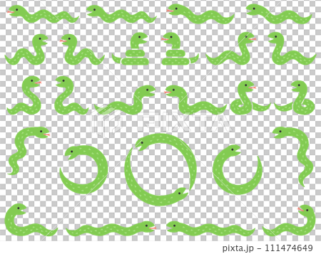 蛇のイラストセット 111474649