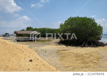 【バリ島】レンボンガン島のマングローブの海に浮かぶボート 111476056