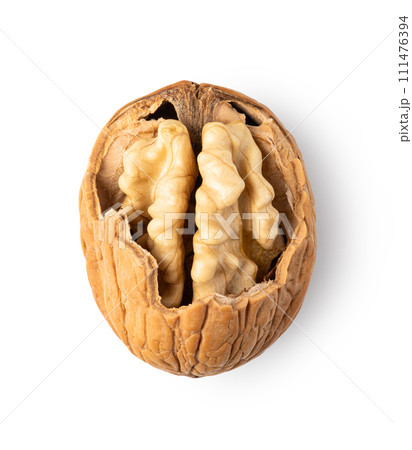 Walnut on white background 111476394