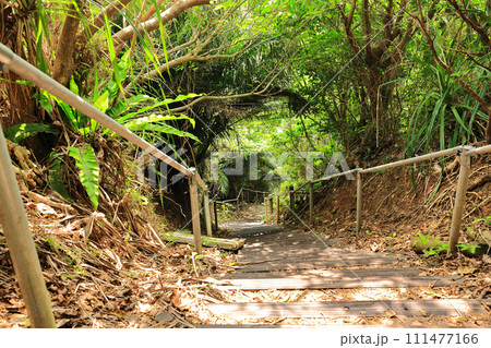 沖縄県小浜島、大岳展望台に至る登山道 沖縄県小浜島、大岳展望台に至る登山道 111477166