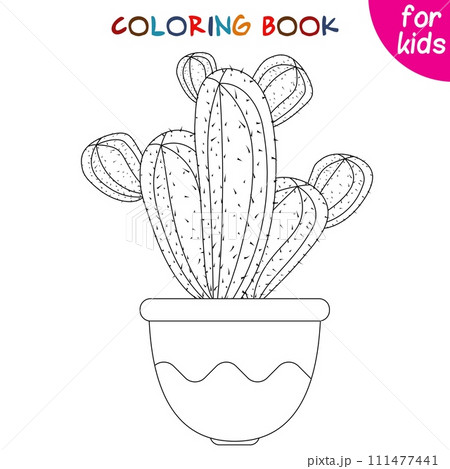 Houseplants. Big cactus. Indoor exotic flowers in a flower pot. Coloring book page template 111477441