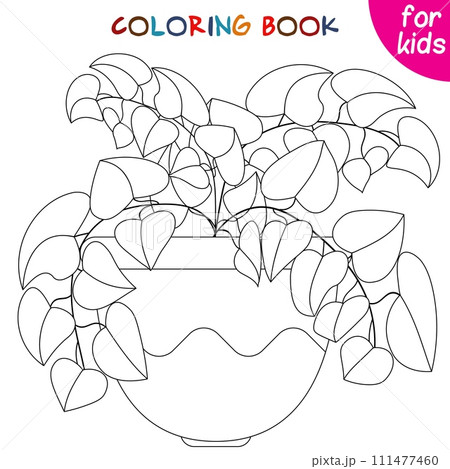 Houseplants. Leafy plant. Indoor exotic flowers in a flower pot. Coloring book page template 111477460