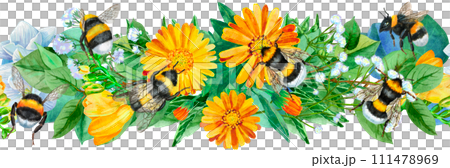 Floral border with bumblebees and calendula flowers on white background Floral border with bumblebees and calendula flowers on white background 111478969