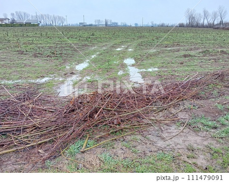 Rural view with fields in winter during rain 111479091