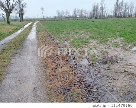 gravel road in a rural road gravel road in a rural road 111479166