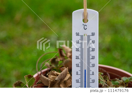 White thermometer on a green background White thermometer on a green background 111479176