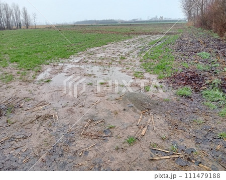Rural view with fields in winter during rain 111479188