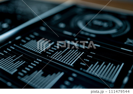 ビジネスのデータの資料 111479544