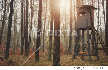 Photo of a deer hunting tower in a forest. 111480119