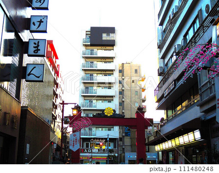 門前仲町の鳥居と参道 111480248