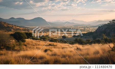 Golden hour over serene landscape, sun-kissed fields and rolling hills. ideal for nature themes and tranquility. AI 111480470