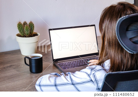 Woman with laptop, wireless technology, and indoor potted plant. 111480652