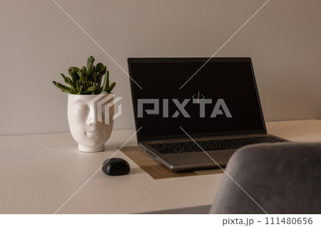 Work from home concept. Flower pot and laptop setup. Advertising and promoting online. 111480656
