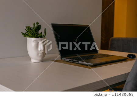 Work from home concept. Flower pot and laptop setup. Advertising and promoting online. 111480665
