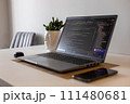 Comfort work from home setup. Laptop with a funny flower. Programming and online job. 111480681