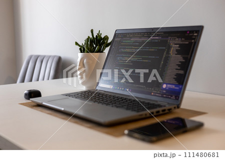 Comfort work from home setup. Laptop with a funny flower. Programming and online job. 111480681