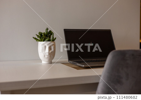 Work from home concept. Flower pot and laptop setup. Advertising and promoting online. 111480682