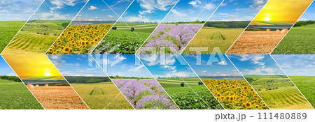 Agricultural fields and blue sky. collage. Wide photo. 111480889