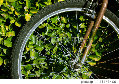 Metal spokes of an old vintage bicycle. Bike wheel details amidst green foliage. Eco-friendly transportation. Cycling in spring of summer nature. Metal spokes of an old vintage bicycle. Bike wheel details amidst green foliage. Eco-friendly transportation. Cycling in spring of summer nature. 111481466