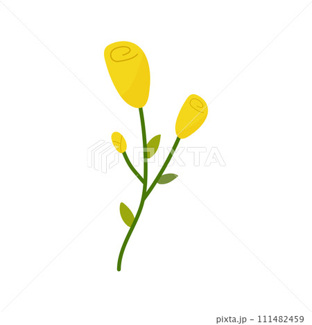 Hand drawn simple yellow rose naive, spring summer plant on white isolated background Hand drawn simple yellow rose naive, spring summer plant on white isolated background 111482459