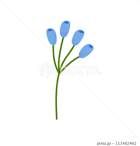 Hand drawn simple blue branch flower, spring summer plant on white isolated background 111482462