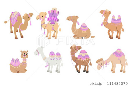 Cartoon camels. Isolated camel, cute desert animals with decorative carpets. Arabian animal, wild and pets. Funny children nowaday vector characters 111483079