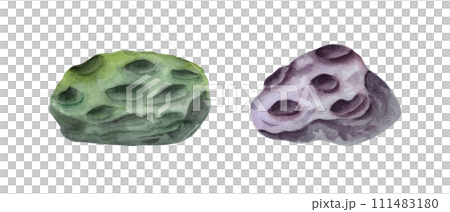 Two stones with small craters. Green and violet polyps or volcanos. Meteorite, asteroid. Watercolor illustration. For clipart, aquarium design, cosmos posters, design. Two stones with small craters. Green and violet polyps or volcanos. Meteorite, asteroid. Watercolor illustration. For clipart, aquarium design, cosmos posters, design. 111483180