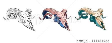 A set of goat skulls. Halloween and Gothic themes. A set of goat skulls. Halloween and Gothic themes. 111483522