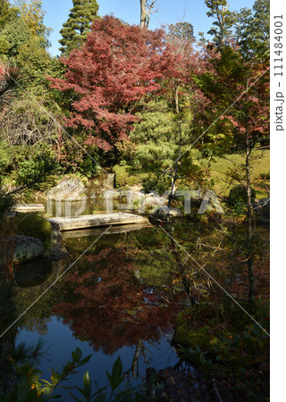 秋の余香苑 退蔵院 秋の余香苑 退蔵院 111484001
