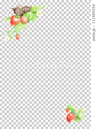 キジトラ猫(後ろ姿)とイチゴの手描き水彩イラスト 罫線入り便箋 キジトラ猫(後ろ姿)とイチゴの手描き水彩イラスト 罫線入り便箋 111484354