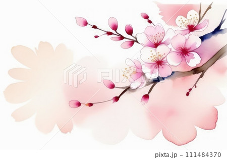 Cherry blossom flower blooming. Pink sakura flower background. Pink cherry blossom, isolated Sakura tree branch. For card, banner, invitation, social media post, poster, mobile apps, advertising. Cherry blossom flower blooming. Pink sakura flower background. Pink cherry blossom, isolated Sakura tree branch. For card, banner, invitation, social media post, poster, mobile apps, advertising. 111484370