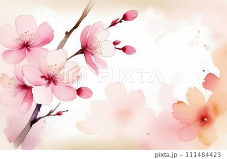 Cherry blossom flower blooming. Pink sakura flower background. Pink cherry blossom, isolated Sakura tree branch. For card, banner, invitation, social media post, poster, mobile apps, advertising. 111484423