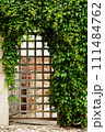 An iron gate partially concealed by a cascade of lush green vines, overgrown with lush green ivy in a stone old courtyard. Secluded garden or urban oasis, tranquility and harmony 111484762