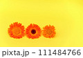 Soft gradient of calendula flowers, from fiery orange to gentle sunlit yellow on yellow background. Calendula for natural skincare or organic cosmetic lines 111484766