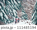 雪の八ヶ岳赤岳鉱泉への道　北沢登山道 111485194