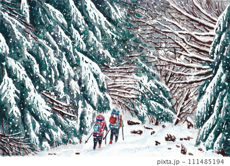 雪の八ヶ岳赤岳鉱泉への道 北沢登山道 雪の八ヶ岳赤岳鉱泉への道 北沢登山道 111485194