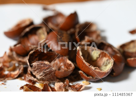 剝かれた栗 剝かれた栗 111485367