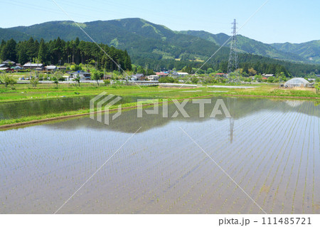 田植えが終わった水田 111485721