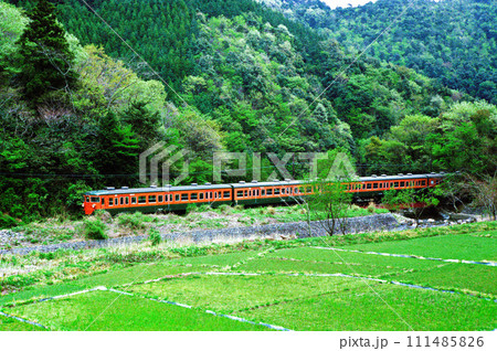大井川鉄道の電車 111485826