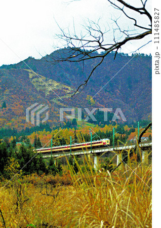 紅葉の特急とき 紅葉の特急とき 111485827