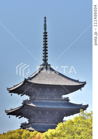 東寺の五重塔 111486004