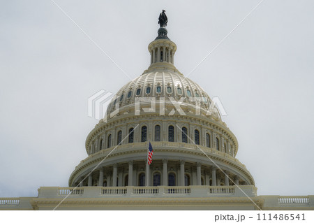 アメリカ合衆国議会議事堂（United States Capitol） 111486541