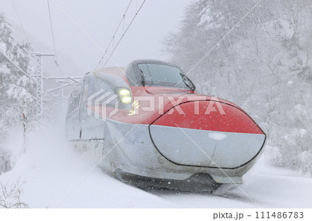 猛吹雪の仙岩峠を走る秋田新幹線 111486783