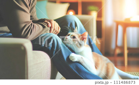 飼い主の足にすり寄って甘えるペットの猫 飼い主の足にすり寄って甘えるペットの猫 111486873