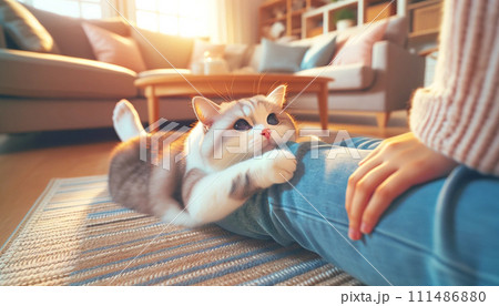 飼い主の足にすり寄って甘えるペットの猫 111486880