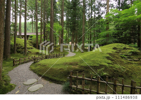 日用苔の里 石川県小松市日用町 日用苔の里 石川県小松市日用町 111486938